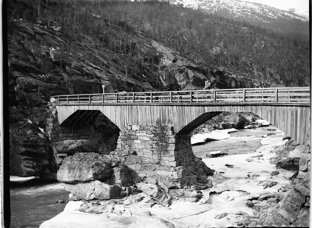 Ole Hansen Løken, Rosten, Sel. Trebru, hestekjøretøy,Gudbrandsdalslågen.