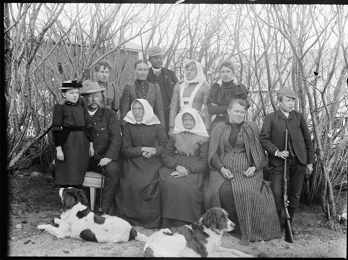 Ole Hansen Løken, GRUPPE 11, MENN, KVINNER, BARN, HUNDER, FORAN F. V ANTONETTE ( TULLA ) HERSOUG, PAUL RING, " GAMLA", "ELDGAMLA", ANTONETTE RING, FØDT TODDERUD OG BARTHOLD RING. BAK F. V. UKJENT, UKJENT, UKJENT, MIMI LØKEN OG UKJENT.