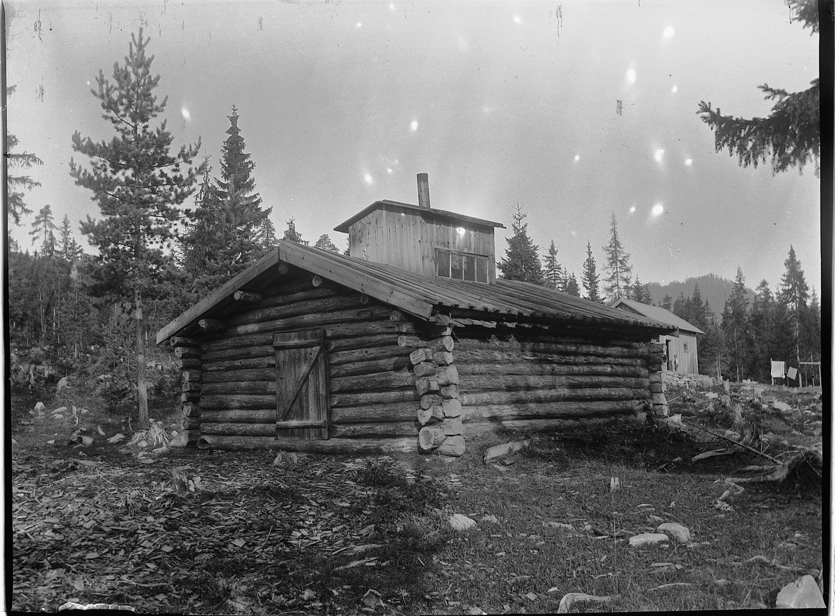 Ole Hansen Løken, SKOGSKOIE, TØMMERKOIE.