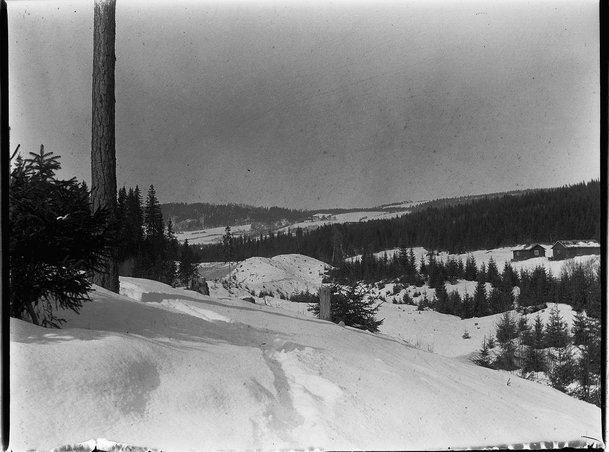 Ole Hansen Løken, LANDSKAP. VELDRE. RUDSHØGDA i Ringsaker, HUSMANNSPLASSEN TOKSTADBEKKEN T. H. Utsikten er fra skogen til Løken østre, langt øst for Stalsberg.