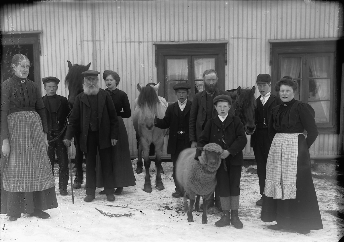 Ole Hansen Løken, KOLLSTAD LILLE, GRUPPE 9. NR. 3 F. V. ANDREAS KOLSTAD, 6 PER SOUG, NR. 9 MARIE SOUG. DE ØVRIGE ER 3 BARN, 2 GÅRDSGUTTER OG 1 BUDEIE. UKJENTE NAVN. HESTER OG SAUEBUKK, VÆR. CA. 1910.