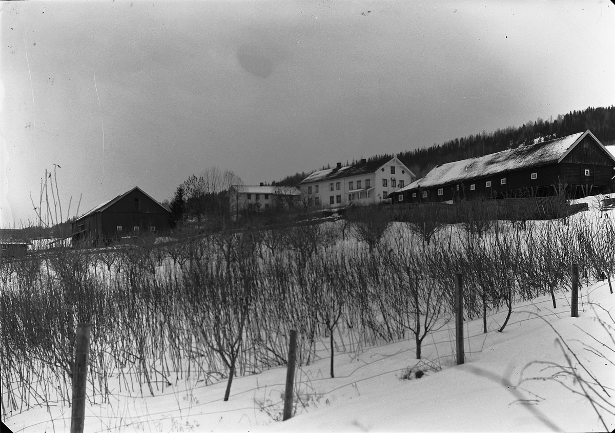 Ole Hansen Løken, LØKEN ØSTRE, VELDRE i Ringsaker, VINTER.