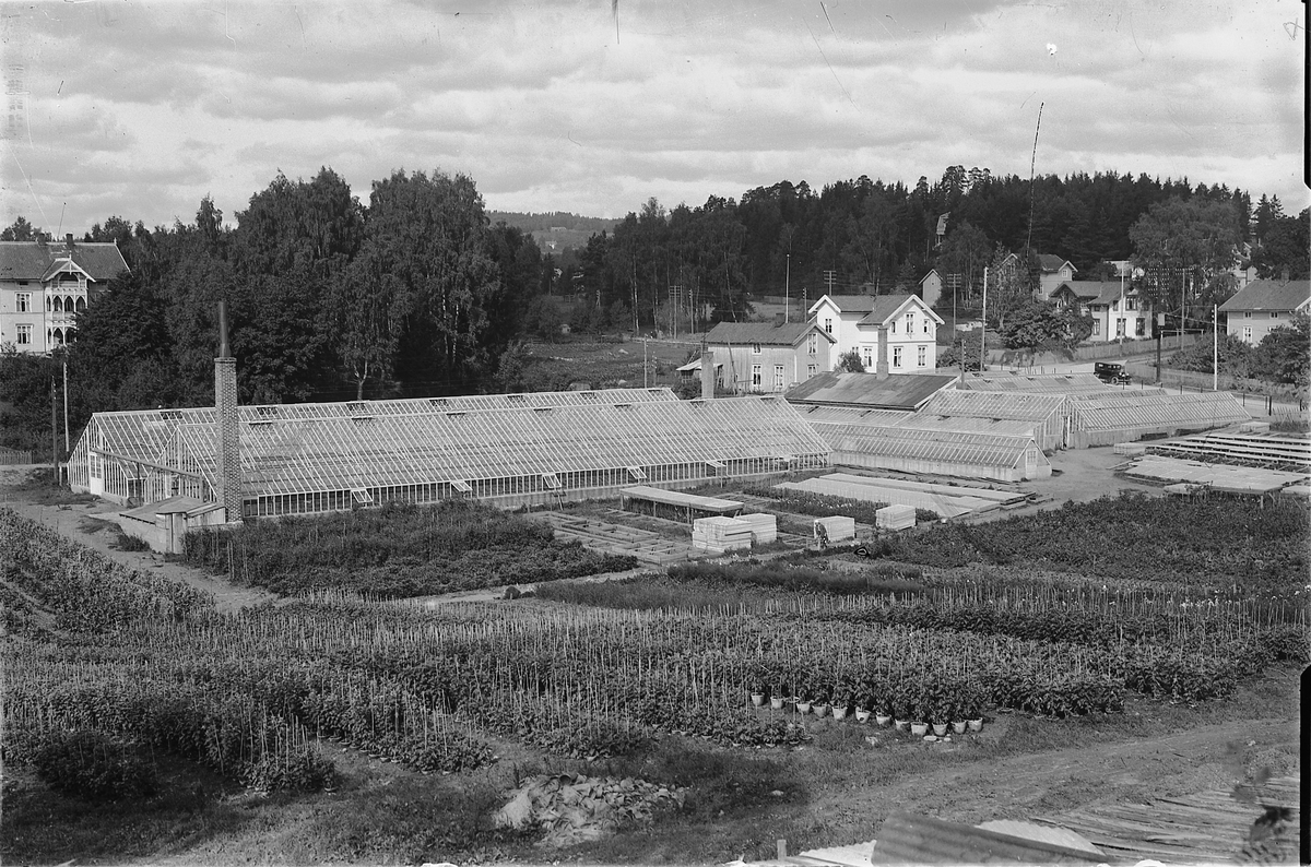 Oscar Løberg, HUGO HOFFSTENS GARTNERI, HAKABEKKVEGEN i Hamar, SLIK DET STO FERDIG I 1921, DRIVHUS. Tidligere hadde gartner Mathias Røhne drevet gartneri på den samme tomta.