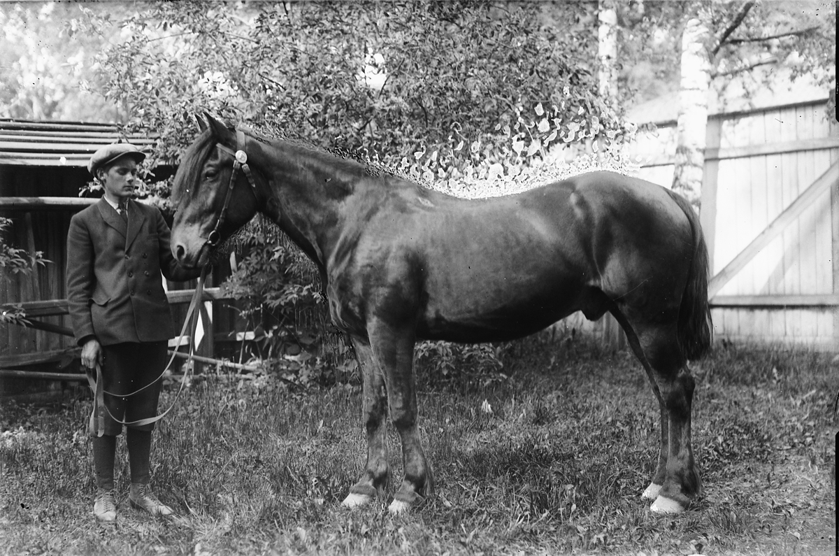 Oscar Løberg, MANN MED HEST, UKJENT