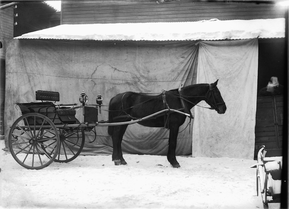Oscar Løberg, HEST MED TRILLE, HESTEKJØRETØY, SNØ, VINTER.