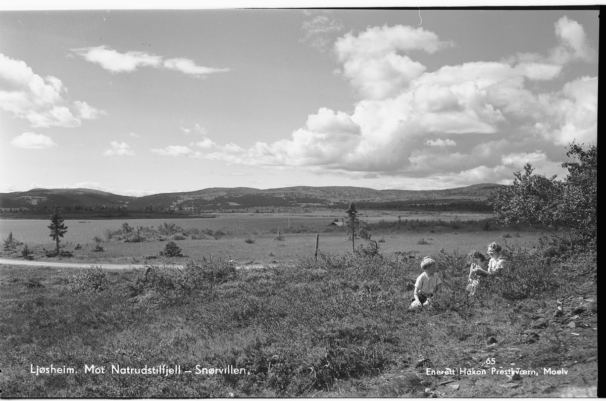 Håkon Prestkværn, Ljøsheim. Mot Natrudstilen og Snørvillen. postkort. Foto Håkon Prestkværn, Moelv. No. 65. Tre ukjente i forgrunnen. Ringsakerfjellet. Landskap.