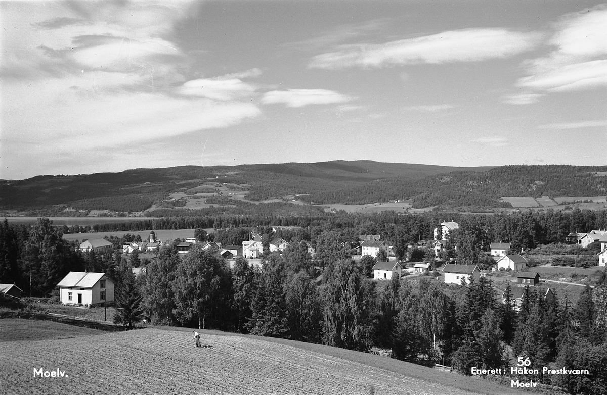 Håkon Prestkværn, Moelv, utsikt mot sentrum. Postkort. Foto Håkon Prestkværn, Moelv. No. 56