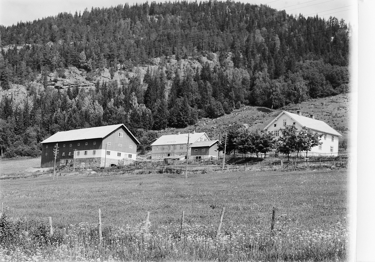 Håkon Prestkværn, RISE GARD, RING.