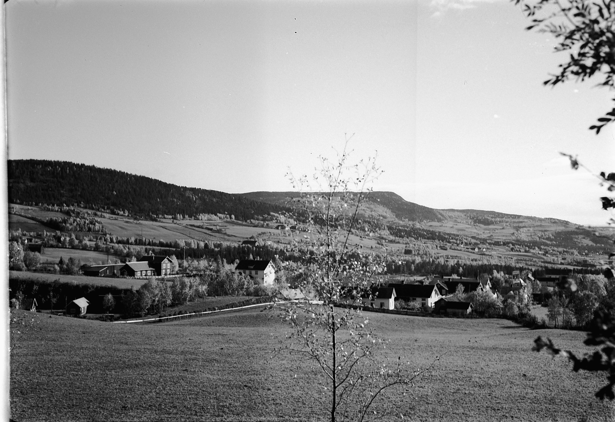 Håkon Prestkværn, Ukjente hus, sted.