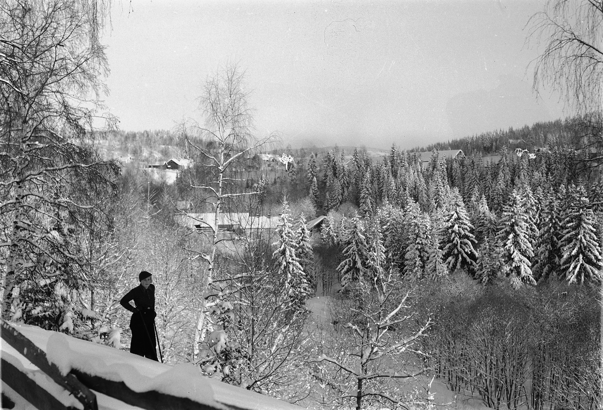 Håkon Prestkværn, Oversiktsbilde over elvedalen langs Moelva. Løkkekværn gård skimtes i dalsøkket. Moelven Brug skimtes over tretoppene til høyre. I dag ville Gunnar Hippe A.S(industribedrift) vært fremtredende i bildet. Vinterlandskap med ukjent kvinnelig skiløper i forgrunnen.
