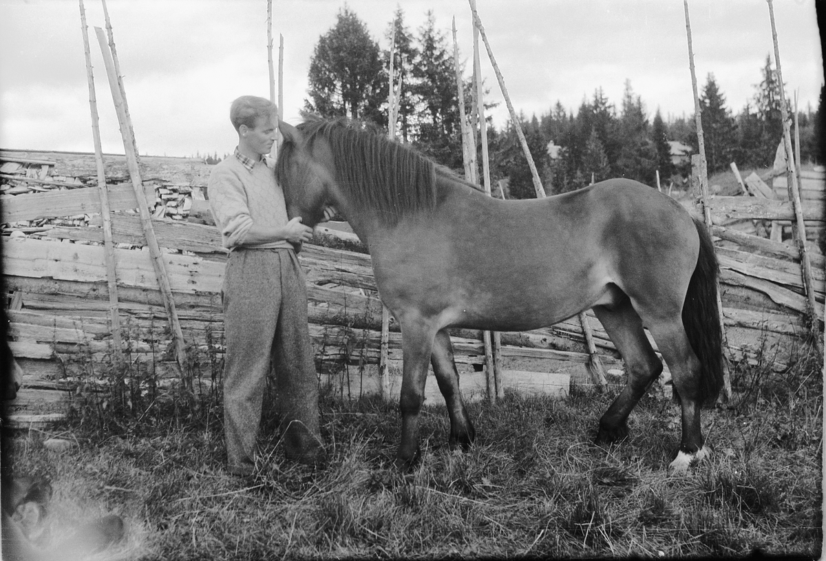 Håkon Prestkværn, Ukjent mann med en hest ved en skigard.