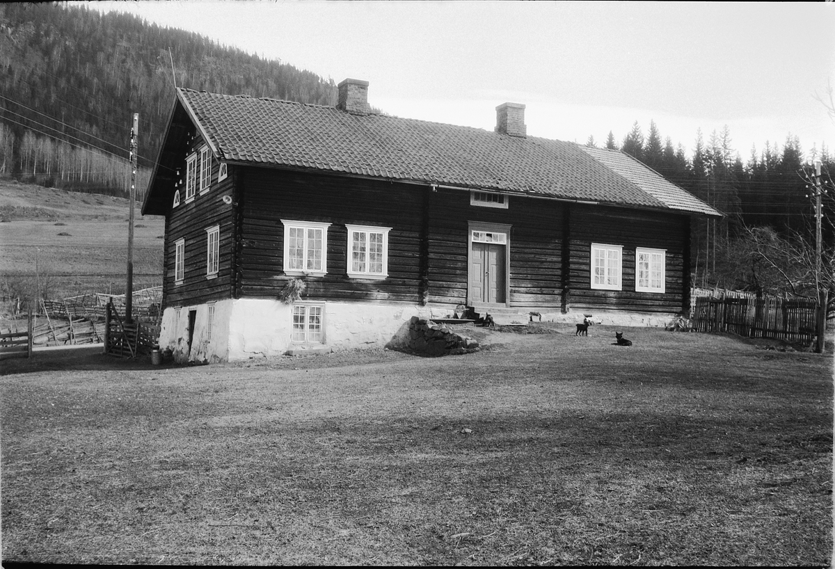 Håkon Prestkværn, Havik nedre på Brøttum.
