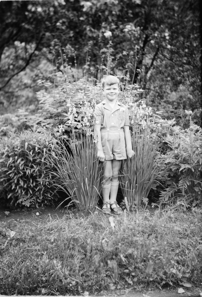 Håkon Prestkværn, Gutt i en hage. Knut Haug (f. 1944)