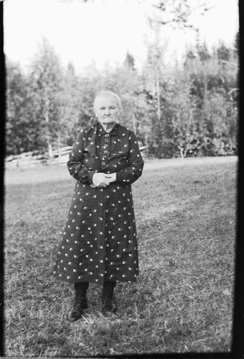 Håkon Prestkværn, Eldre kvinne på en eng.