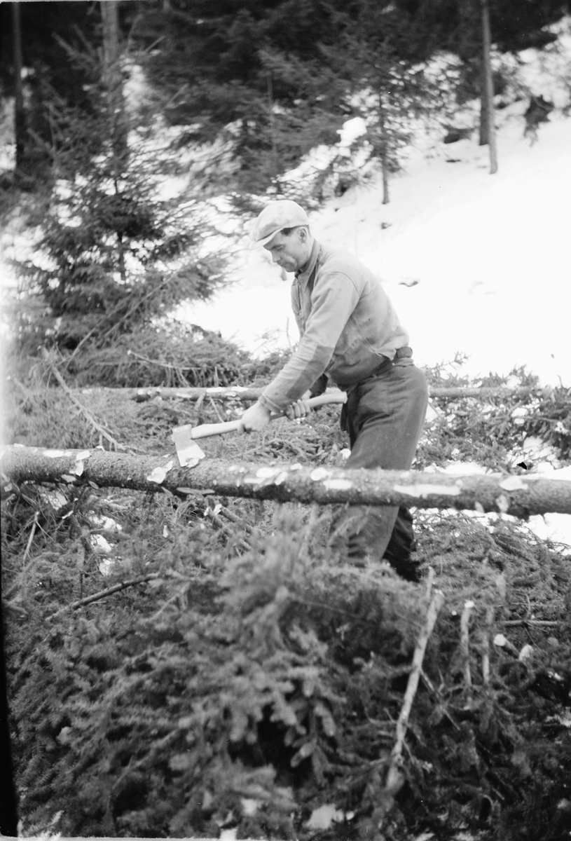 Håkon Prestkværn, Ukjent mann kvister et grantre med øks i skogen.