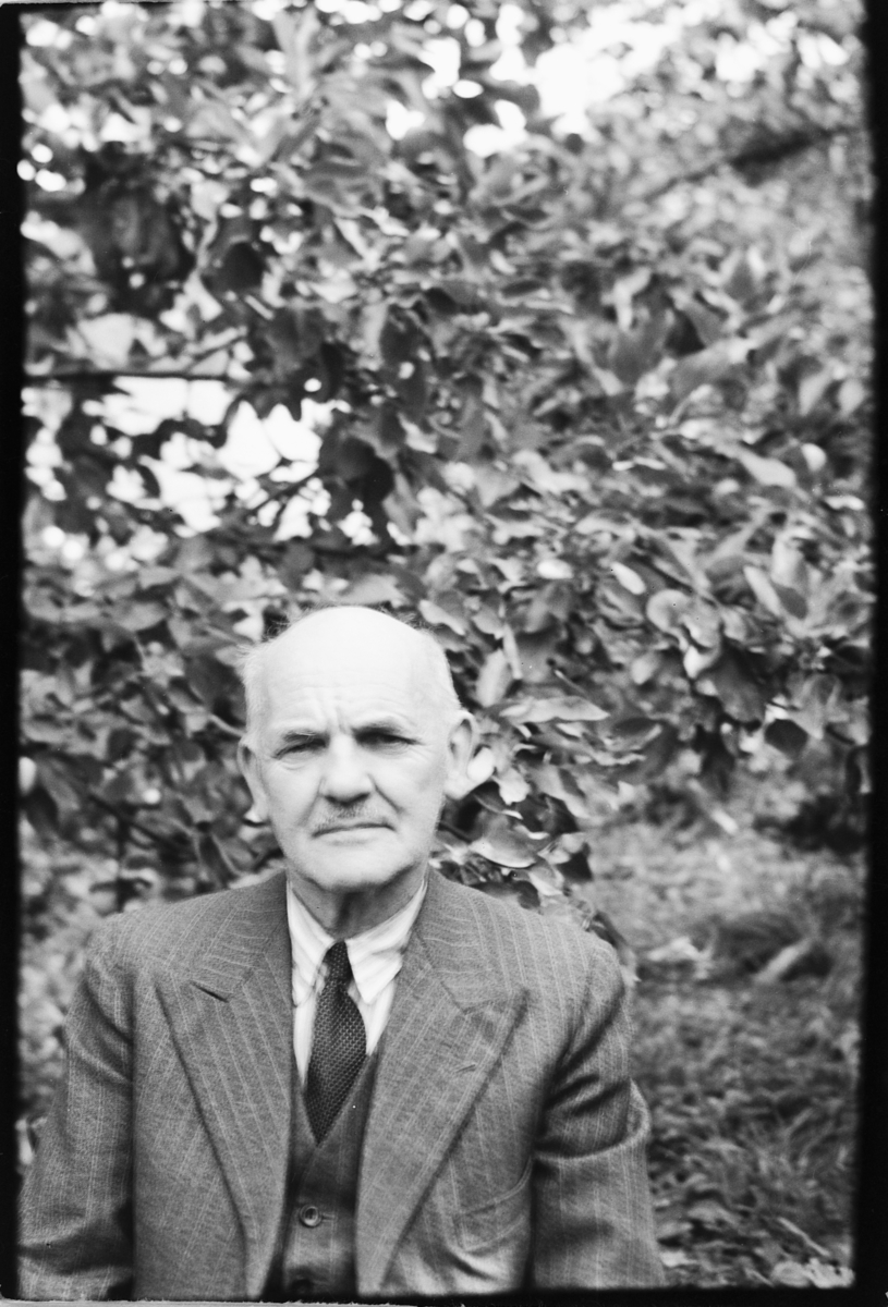 Håkon Prestkværn, Eksteriør, hage. Eldre mann.