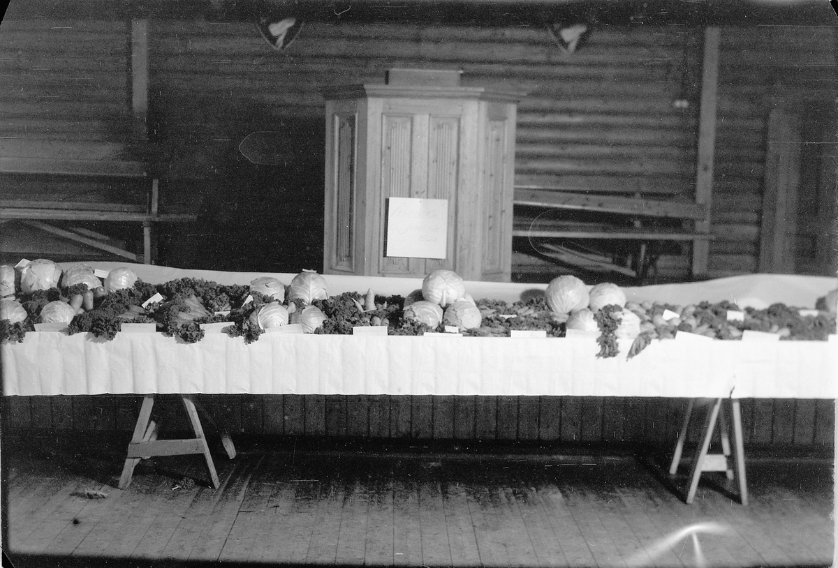 Håkon Prestkværn, Hodekål og gulrøtter på en benk. 4H-utstilling. Høstfest for klubbene i Ringsaker på Nærvang i Næroset 1948 eller 1949. De første klubbene ble startet i 1948 og oppgavene var hovedsakelig dyrking av grønnsaker, husstell og håndarbeid. På landsbasis var klubbene organisert gjennom "Landslaget for no…