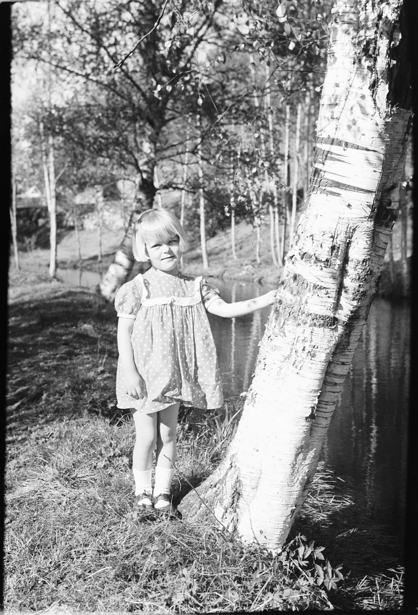 Håkon Prestkværn, Ei jente i kjole ved et bjørketre i skogen.