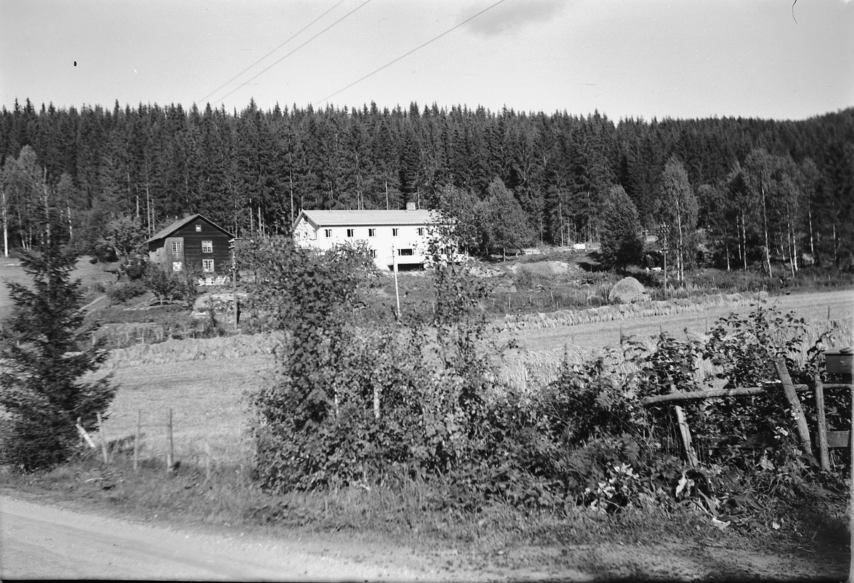 Håkon Prestkværn, Ukjent gard.
