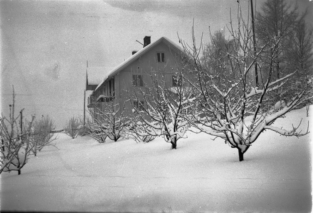Håkon Prestkværn, Vinter. Hus og hage på ukjent sted.