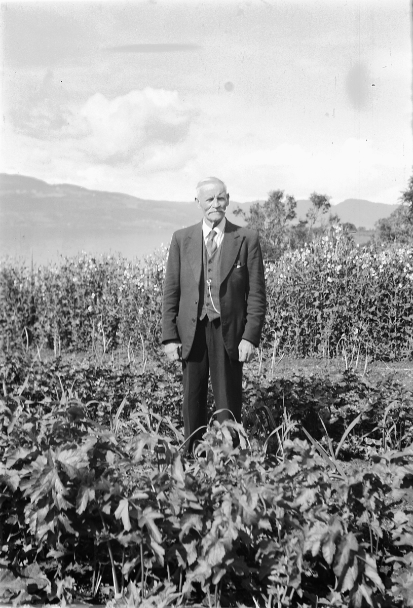 Håkon Prestkværn, Ukjent mann i dress på en stol ved et grantre.