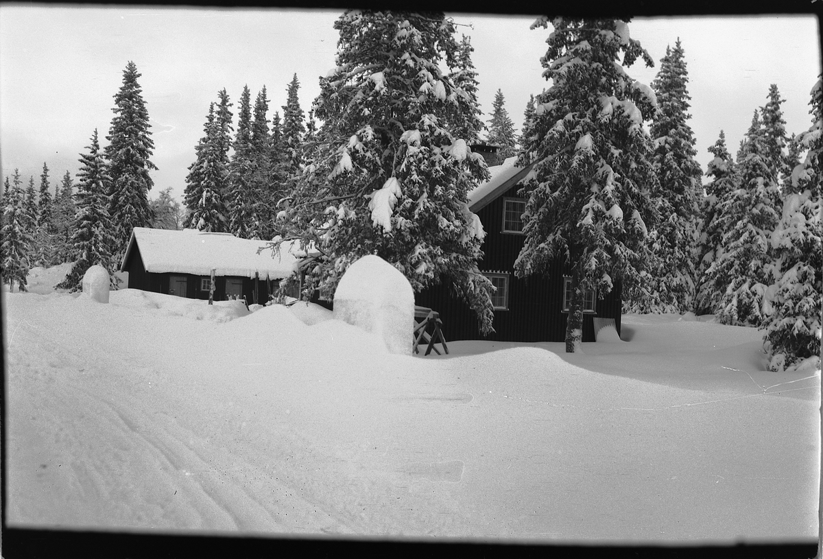 Håkon Prestkværn, Vinterlandskap. Hus i skogen.