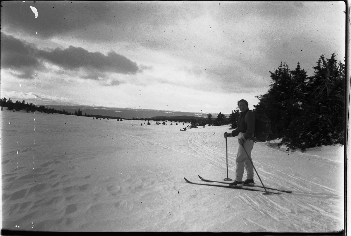 Håkon Prestkværn, Vinterlandskap. Ukjent mann på ski.
