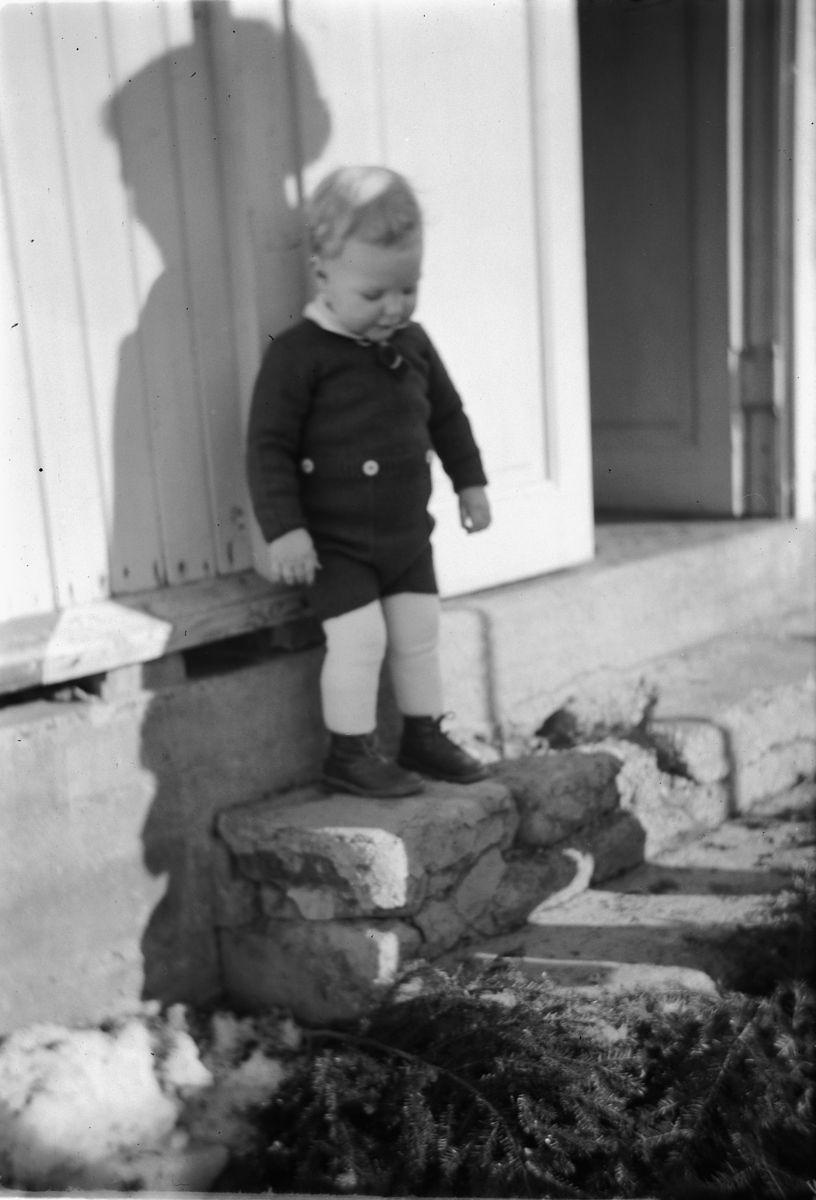 Håkon Prestkværn, Johannes Haugen.