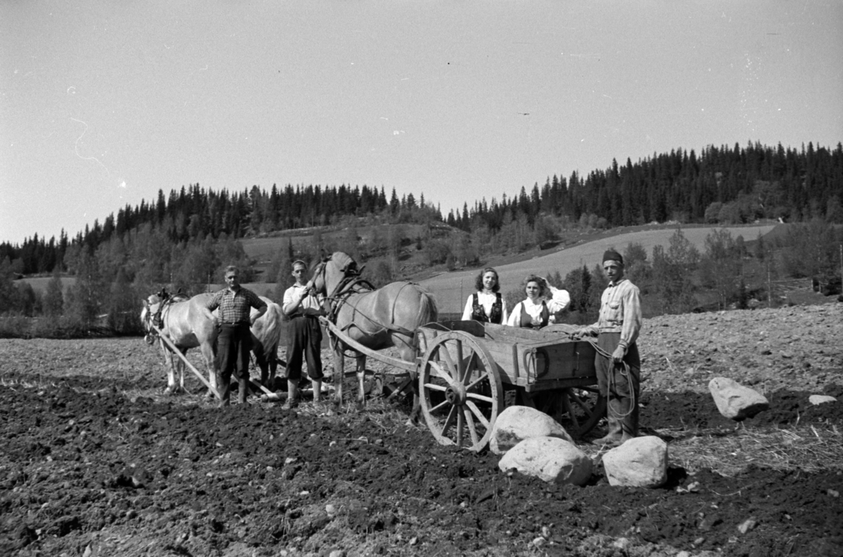 Håkon Prestkværn, Nybrotsarbeid. Tre menn, og to kvinner i bunad, flytter stein ved hjelp av hest og kjerre.