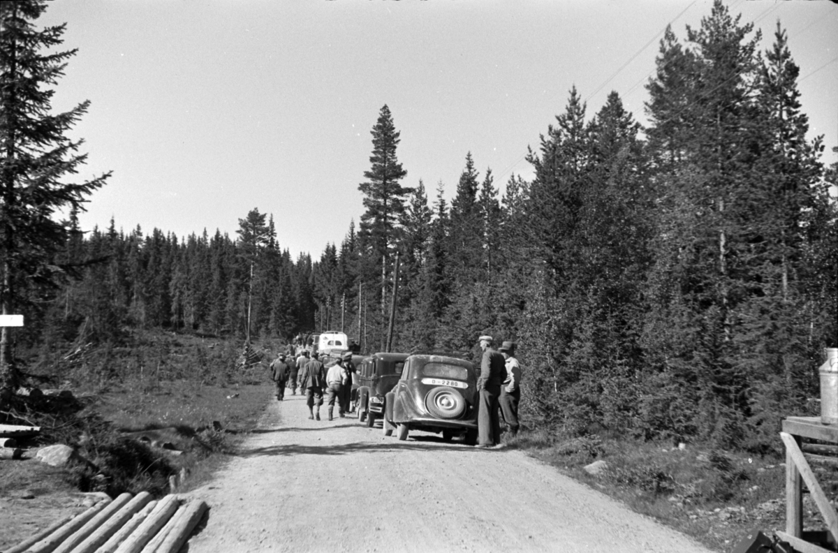 Håkon Prestkværn, Buvika sagbruk, skogbefaring, Ringsaker allmenning. Juni 1949. Masse biler langs veien.