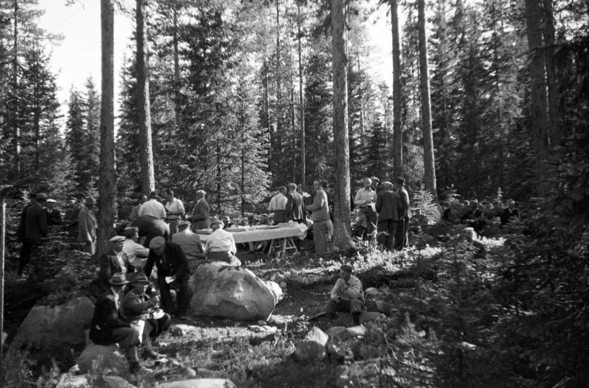 Håkon Prestkværn, Buvika sagbruk, skogbefaring, Ringsaker allmenning. Juni 1949. Gruppe spiser og drikker i skogen.
