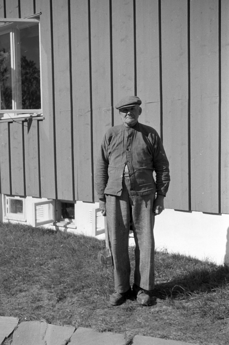 Håkon Prestkværn, Buvika sagbruk, skogbefaring, Ringsaker allmenning. Juni 1949.