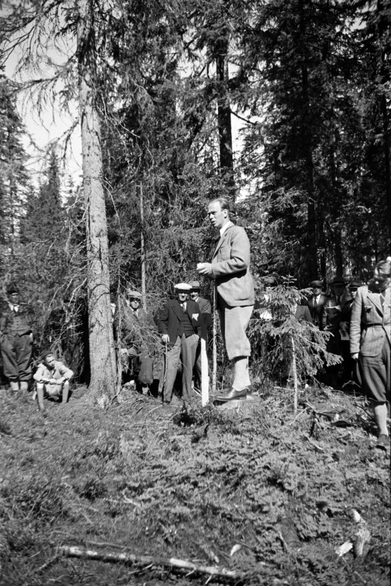 Håkon Prestkværn, Buvika sagbruk, skogbefaring, Ringsaker allmenning. Juni 1949.