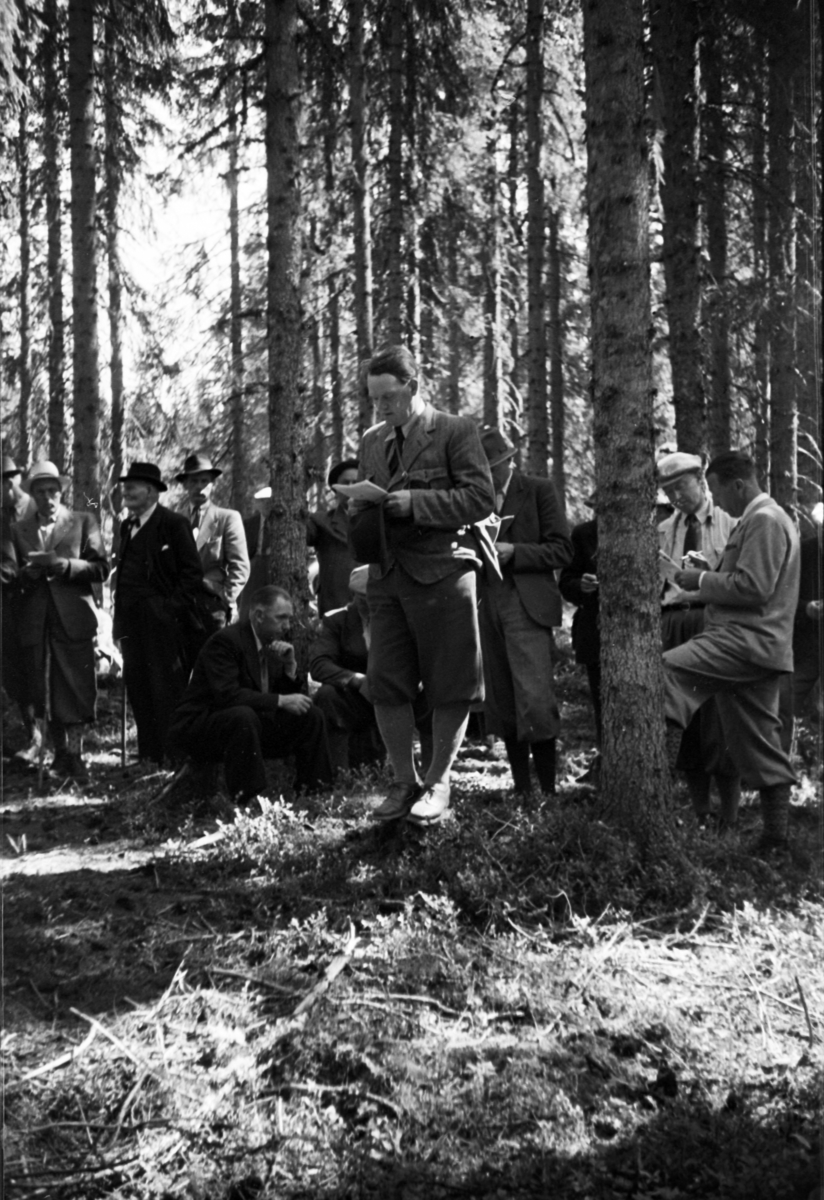 Håkon Prestkværn, Buvika sagbruk, skogbefaring, Ringsaker allmenning. Juni 1949.