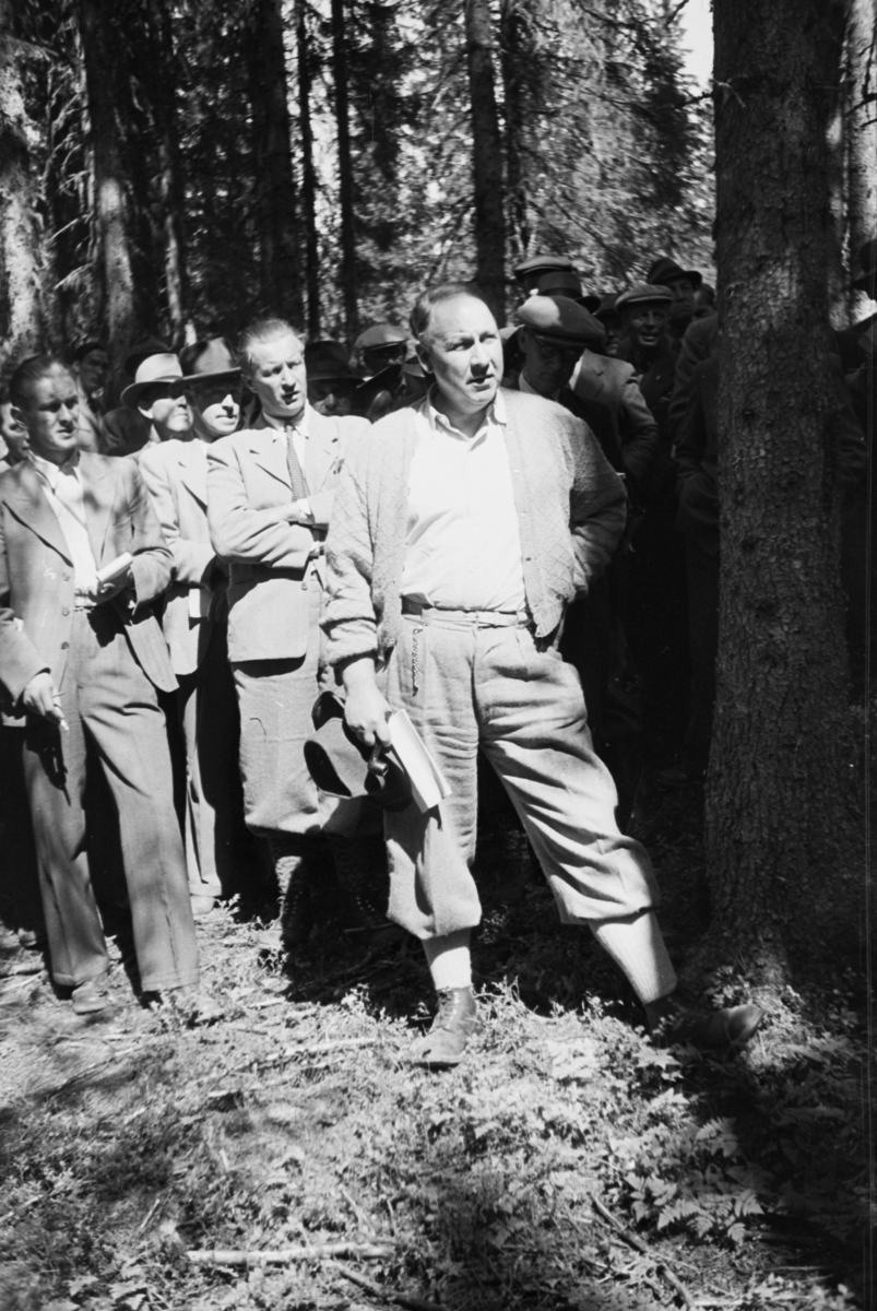 Håkon Prestkværn, Buvika sagbruk, skogbefaring, Ringsaker allmenning. Juni 1949.