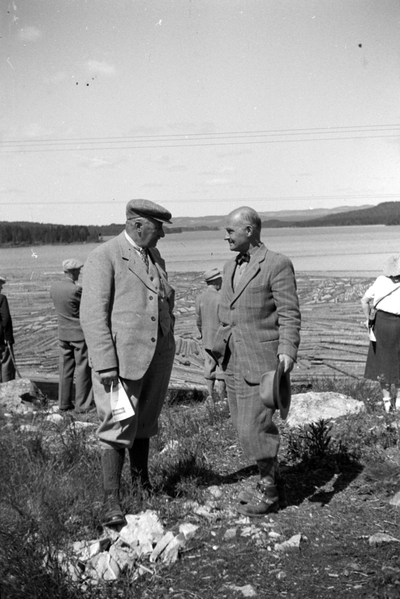 Håkon Prestkværn, Buvika sagbruk, skogbefaring, Ringsaker allmenning. Juni 1949.