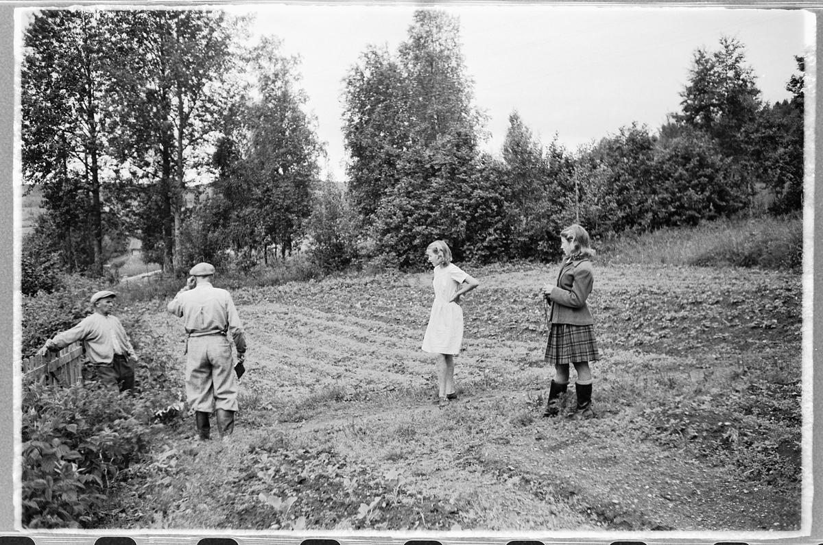Håkon Prestkværn, To menn og to kvinner på et jorde.