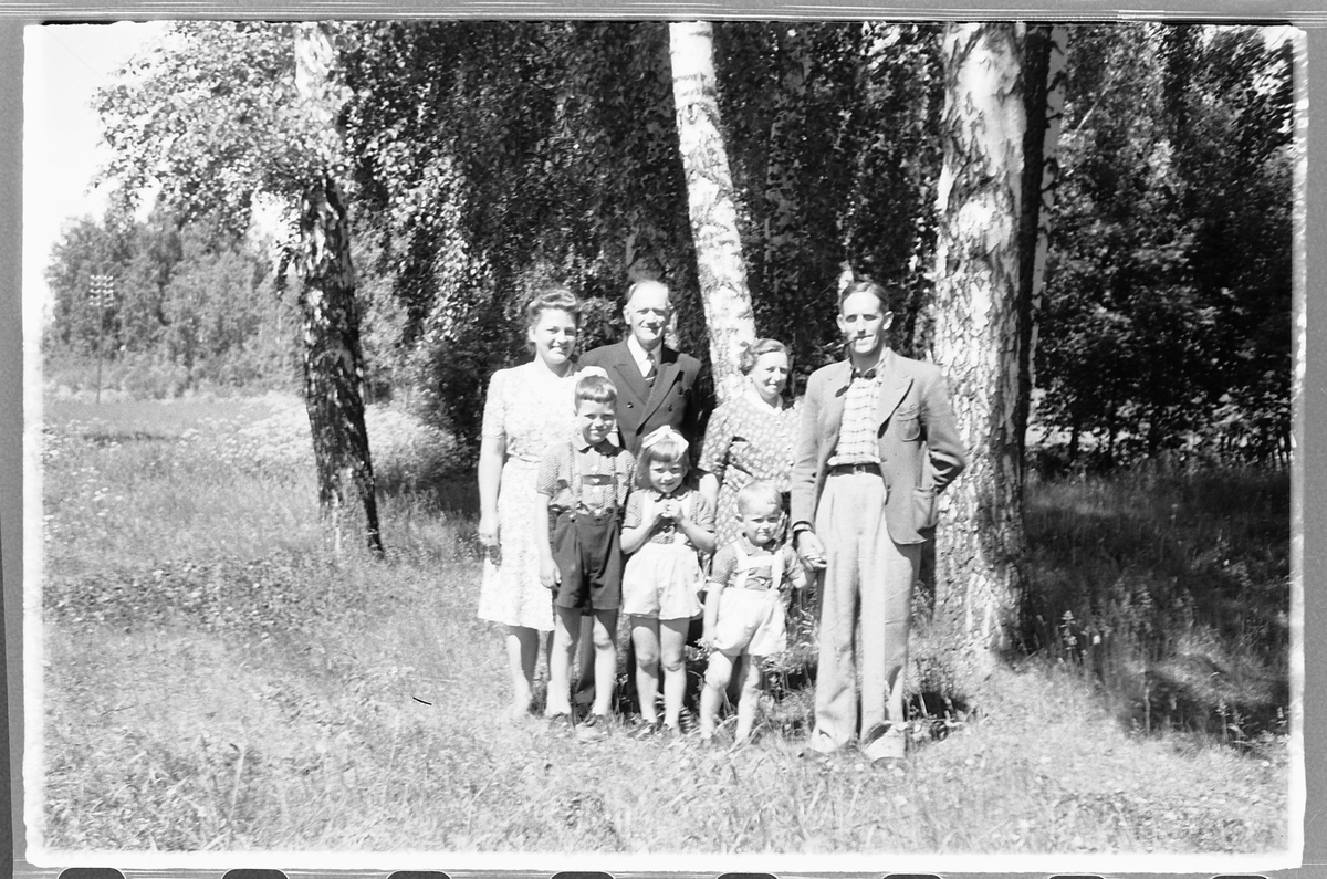 Håkon Prestkværn, Ukjent familiegruppe ved bjørketrær.