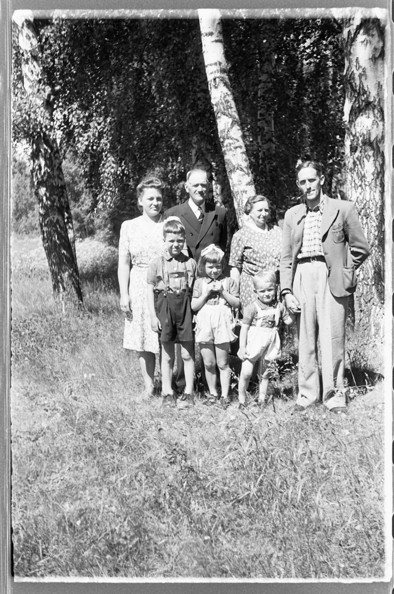 Håkon Prestkværn, Ukjent familiegruppe ved bjørketrær.