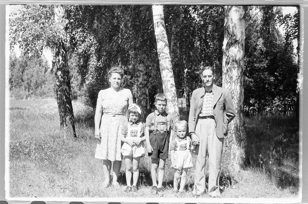 Håkon Prestkværn, Ukjent familiegruppe ved bjørketrær.