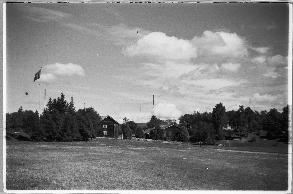 Håkon Prestkværn, DOMKIRKEODDEN, HEDMARKSTUNET.