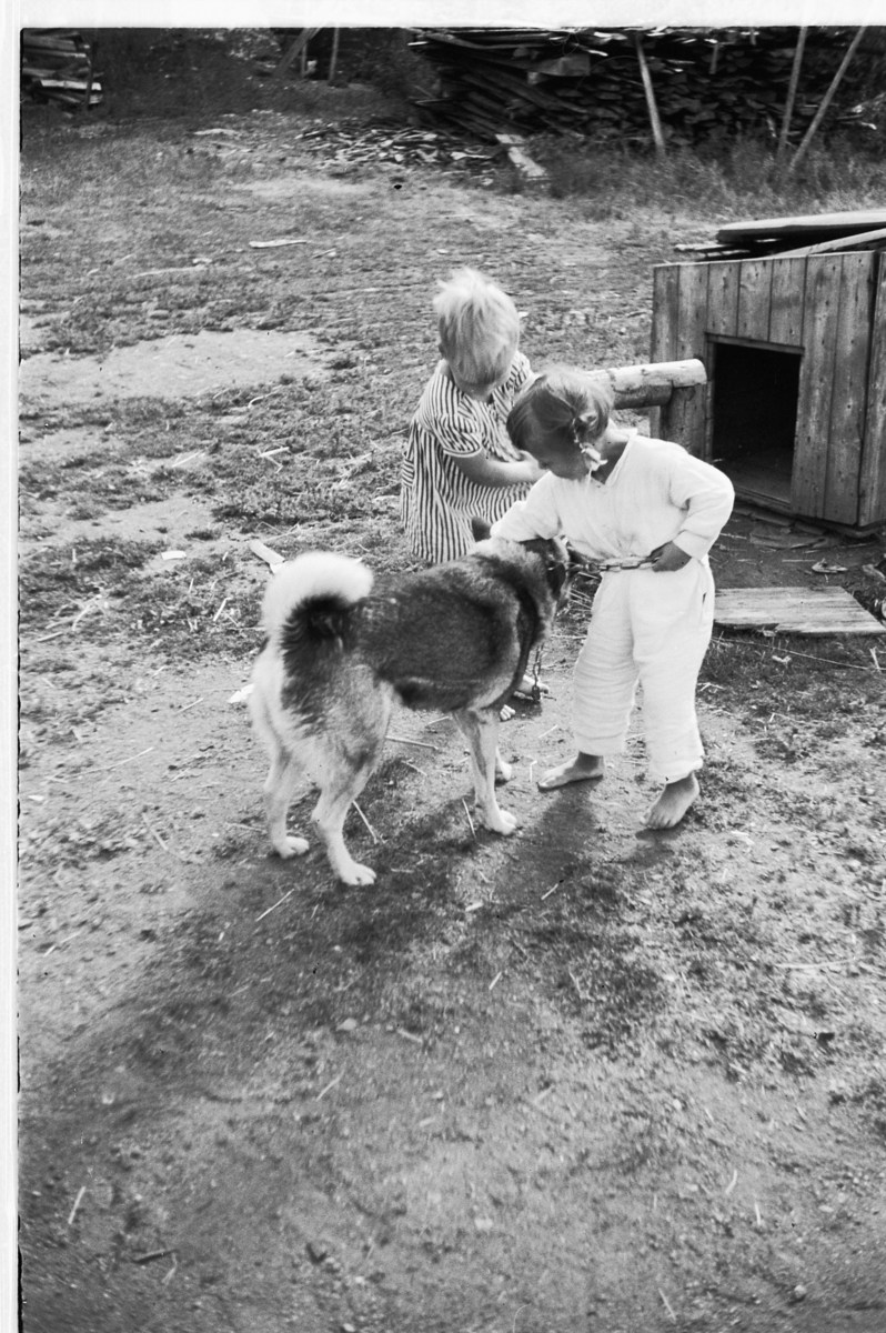 Håkon Prestkværn, To barn leker med en hund.