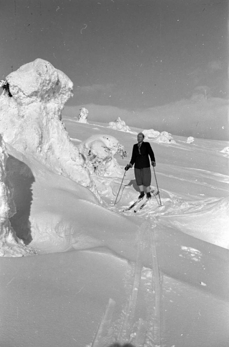 Håkon Prestkværn, Vinterlandskap. En skigåer med solbriller på fjellet.