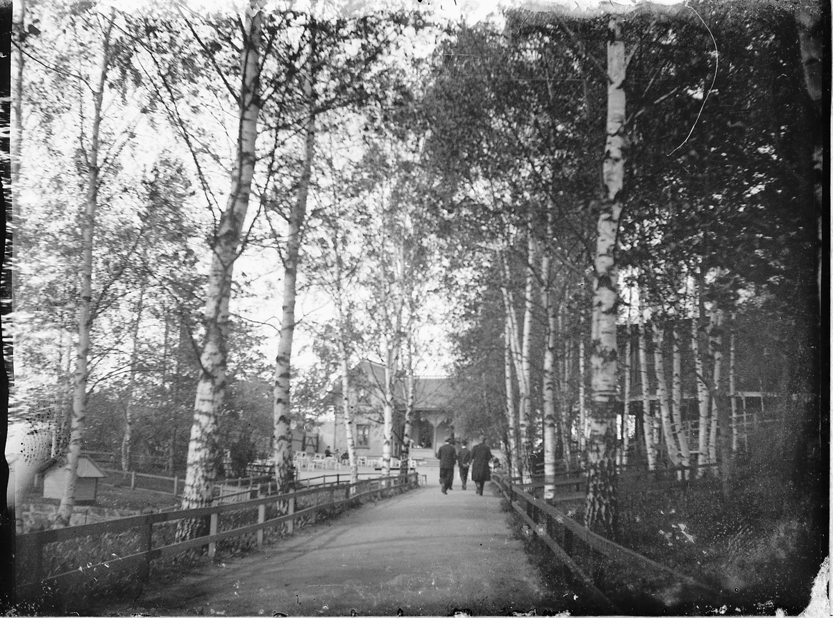 Johs. (Johannes) Johannessen, Hamar park.