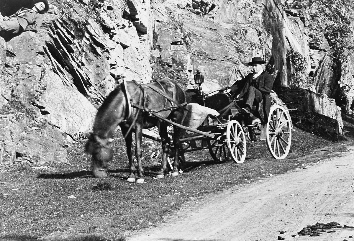Hans Emil Erichsen, Kvamsporten i Gudbrandsdalen. Ukjent mann med hest og vogn. Utsnitt.