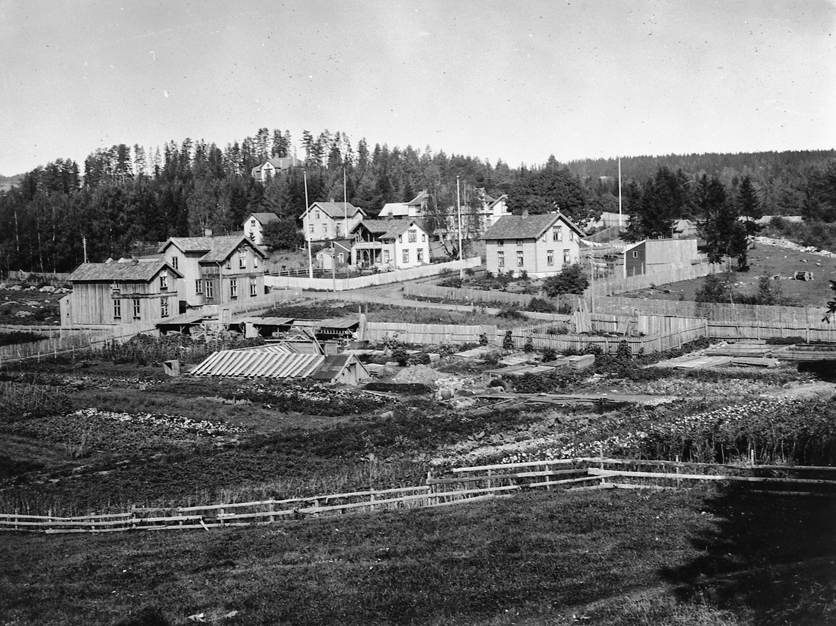 Hans Emil Erichsen, Sangen. Bebyggelse ved krysset Hakabekkvegen og Fredrik Monsensgate i Hamar. I forgrunnen er Mathias Røhnes gartneri, senere overtatt av Hugo Hoffsten.