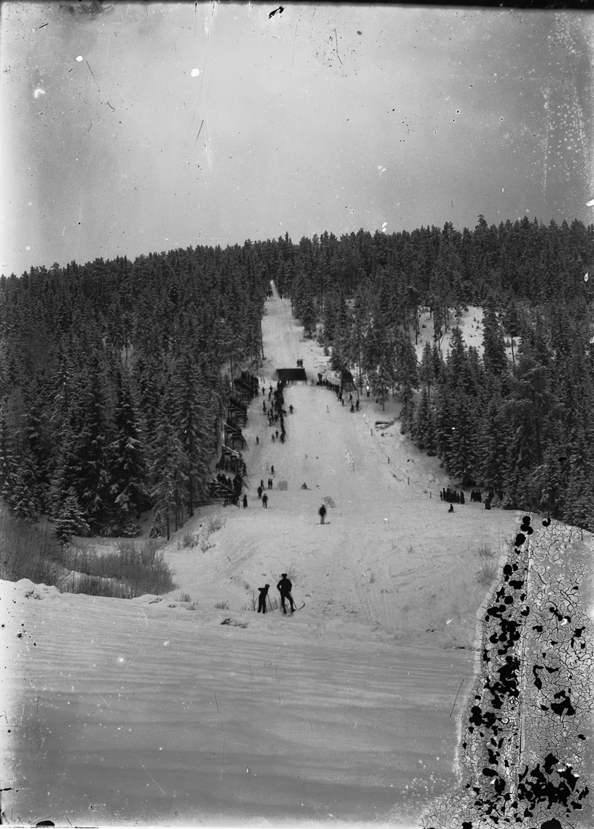 Oscar Løberg, Skihopp. Hopprenn under Hovedlandsrennet i Furuberget, Hamar. 1931?