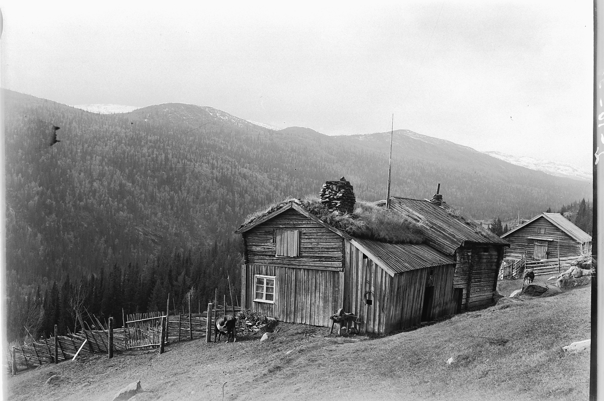 Simen Baardseth, Ukjent seter i Gudbrandsdalen.