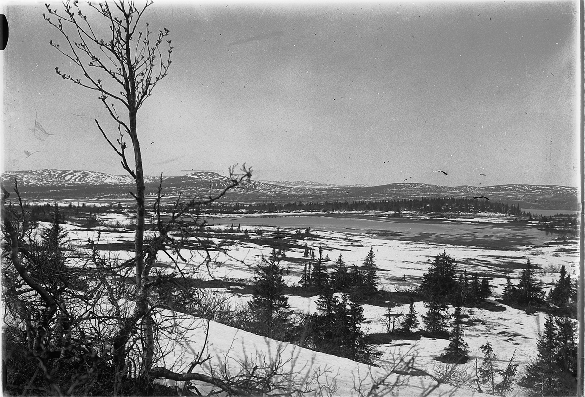 Simen Baardseth, Fjellandskap, vinter.