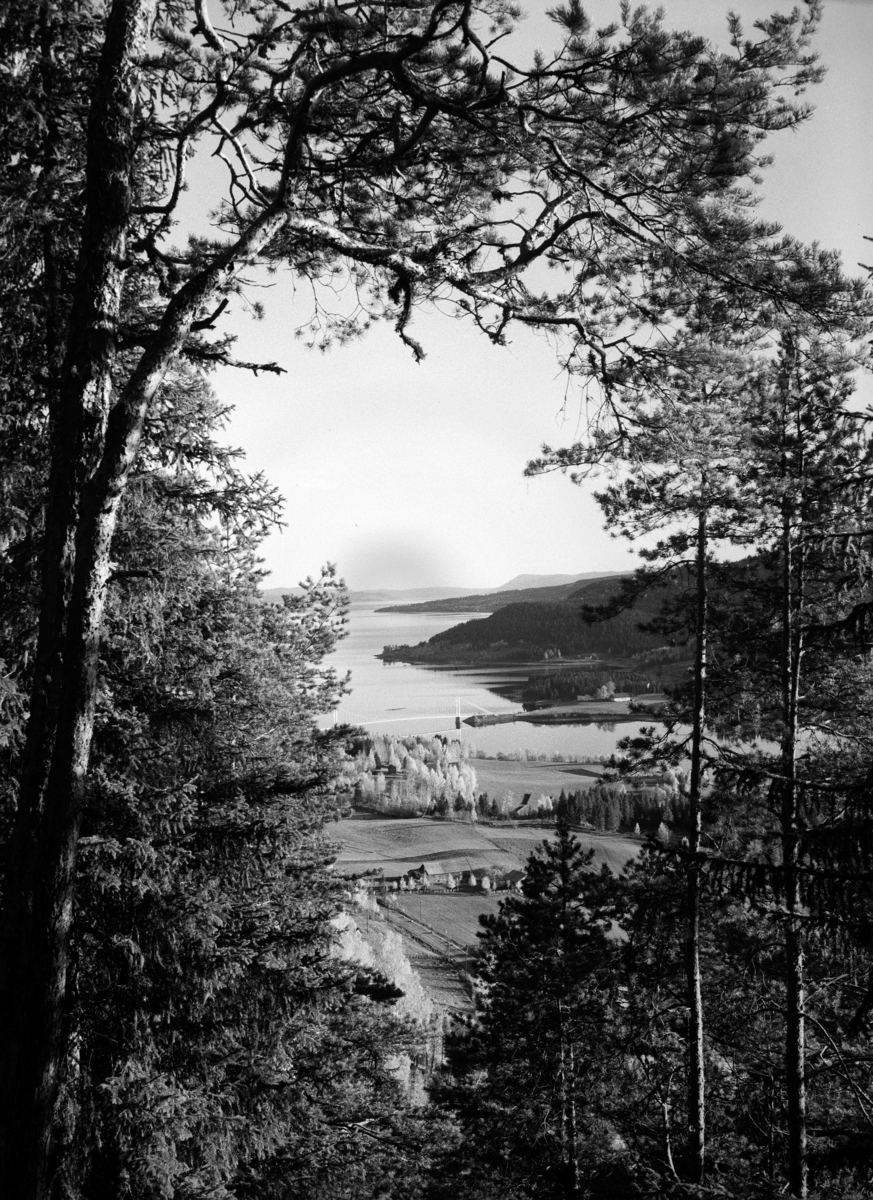 Kristian Heramb, Bunnefjorden, Mjøsa, utsikt fra Veldre i Ringsaker.